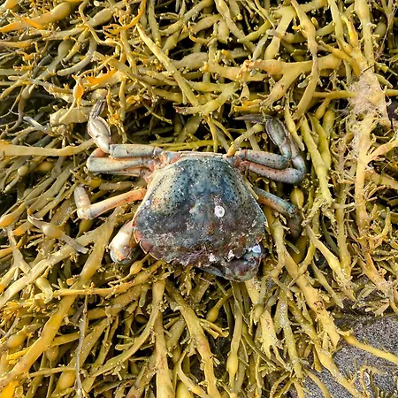 Nykmark-eco House Private Vestvagoy