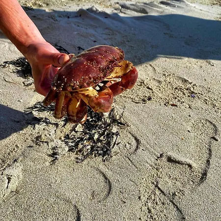 Nykmark-eco House Private Appartement