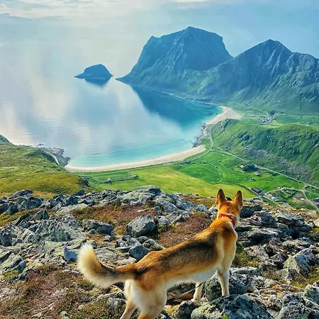 Appartement Nykmark-eco House Private Vestvagoy