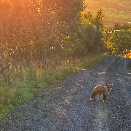 Appartement Nykmark-eco House Private Vestvagoy